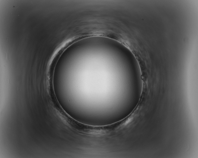X0000086720342200704201631