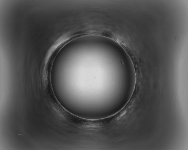 X0000086720343200704201631