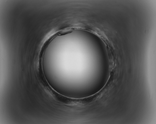 X0000086720344200704201631