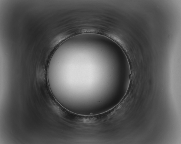 X0000086720345200704201631