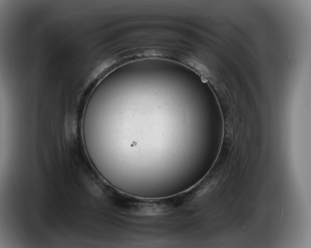 X0000086720347200704201631
