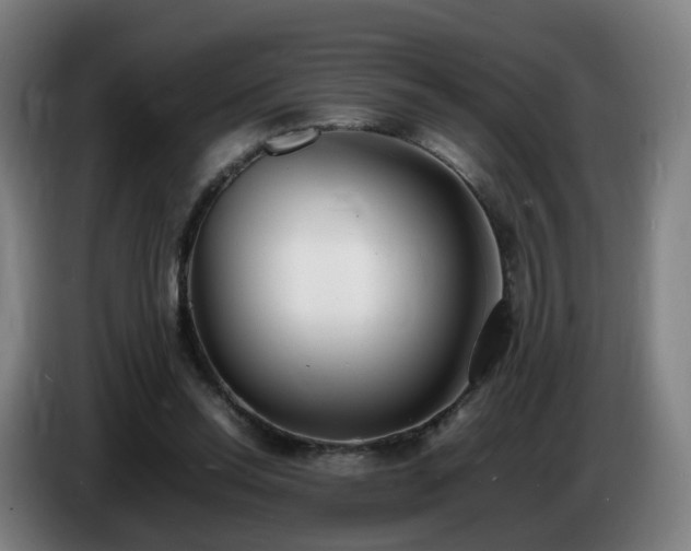 X0000086720350200704201631