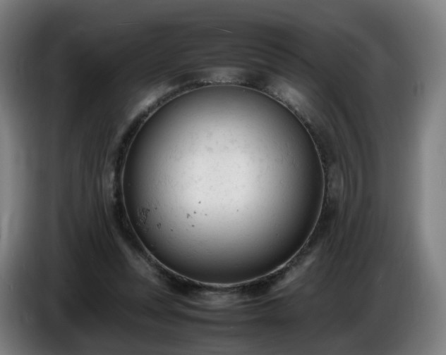 X0000086720351200704201631