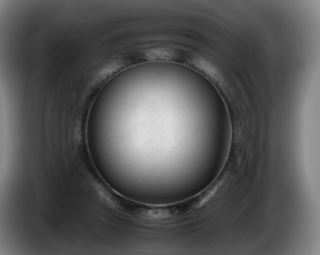 X0000086720353200704201631