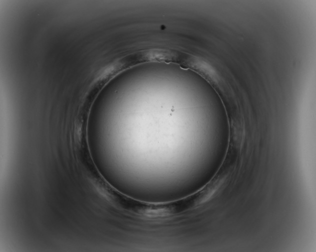 X0000086720357200704201631