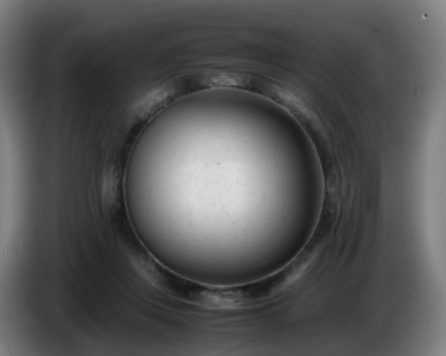 X0000086720359200704201631