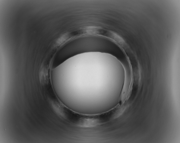 X0000086720360200704201631