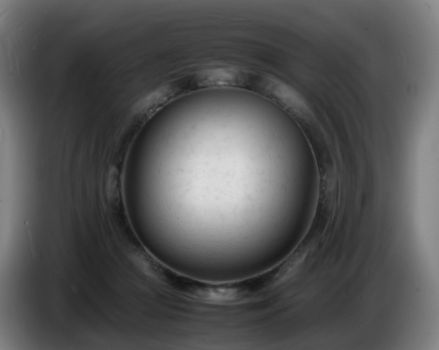 X0000086720361200704201631