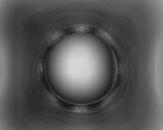 X0000086720363200704201631