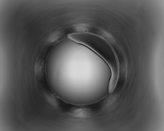 X0000086720364200704201631