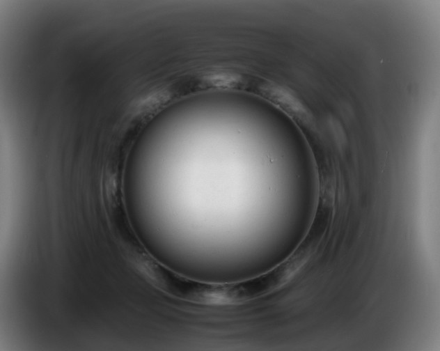 X0000086720365200704201631