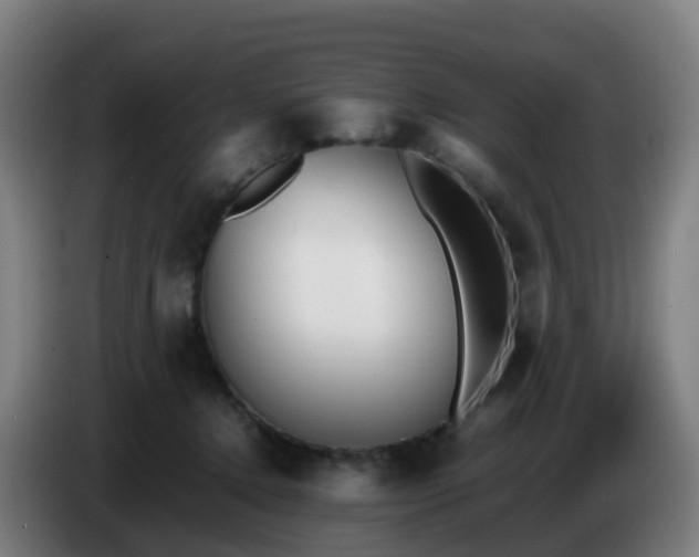 X0000086720368200704201631