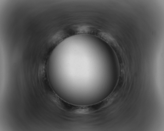 X0000086720369200704201631