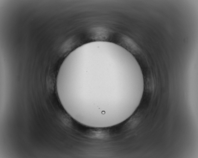 X0000086720370200704201631