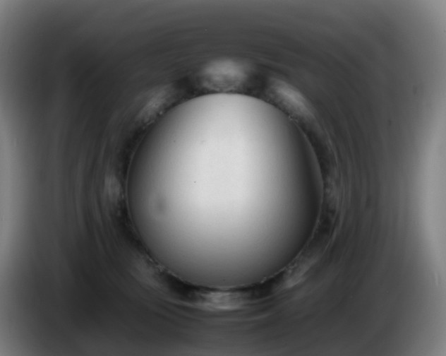 X0000086720371200704201631