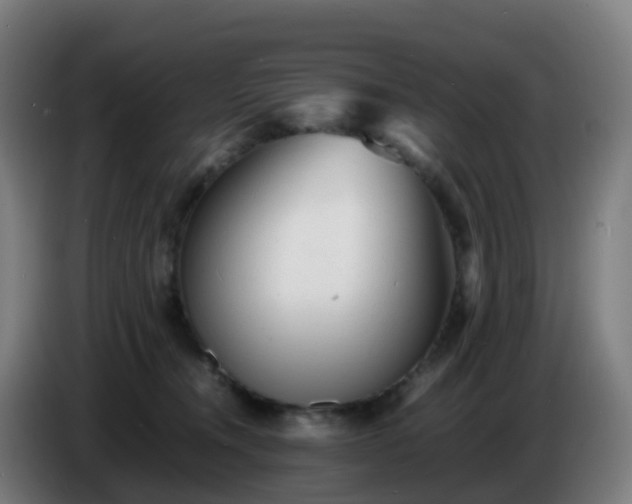 X0000086720372200704201631