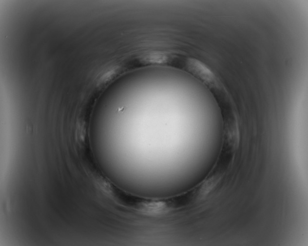 X0000086720374200704201631