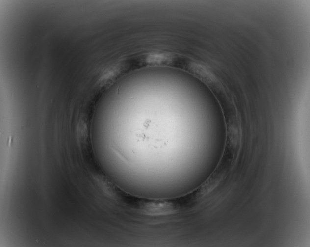 X0000086720375200704201631