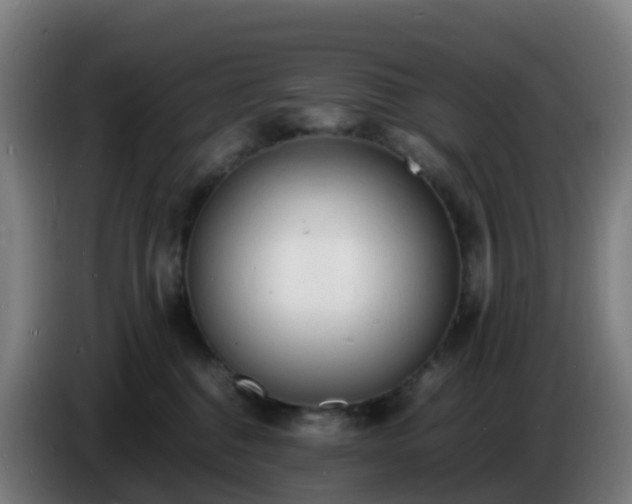 X0000086720376200704201631
