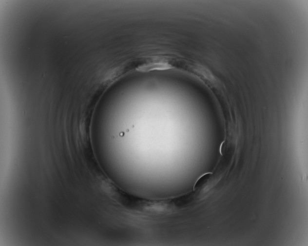 X0000086720377200704201631