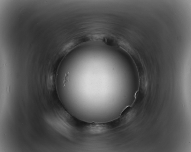 X0000086720378200704201631