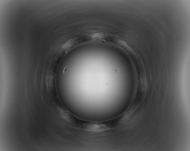 X0000086720379200704201631