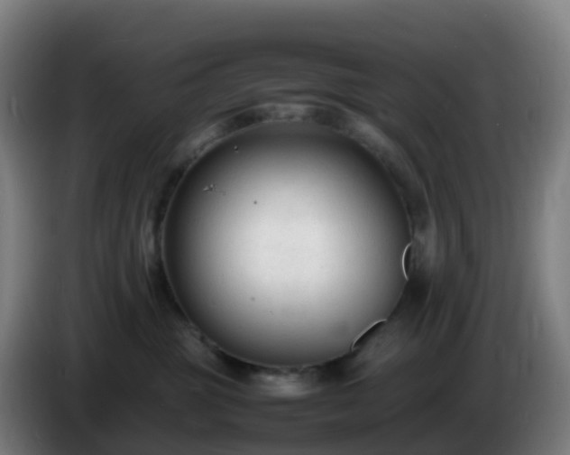 X0000086720381200704201631