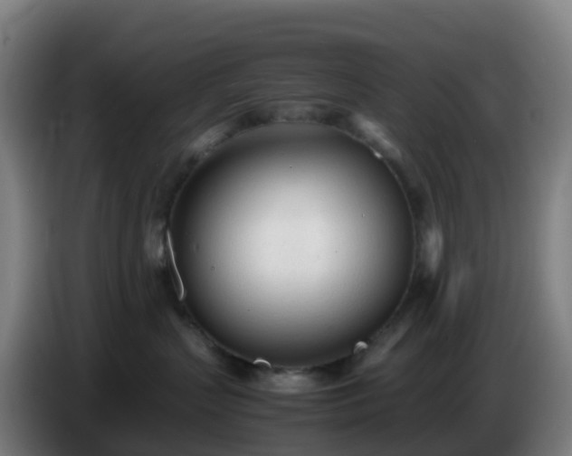 X0000086720383200704201631