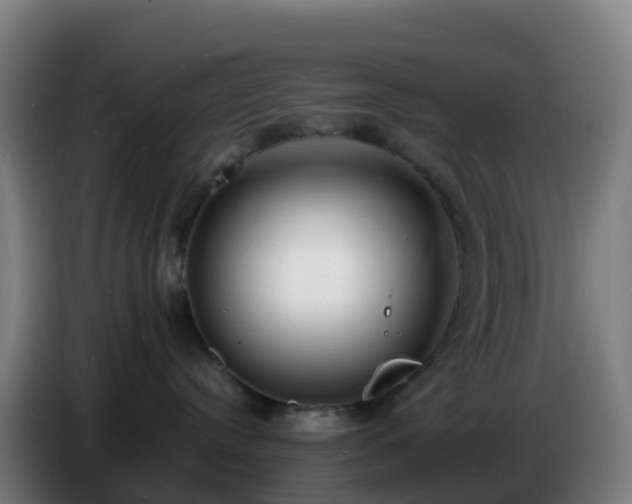X0000086720384200704201631