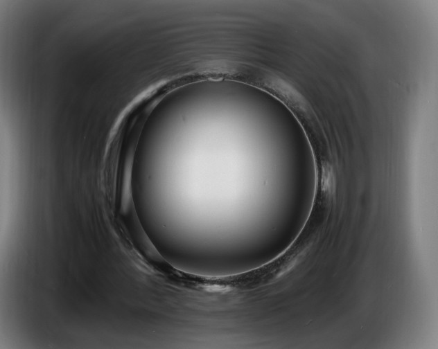X0000086720388200704201631