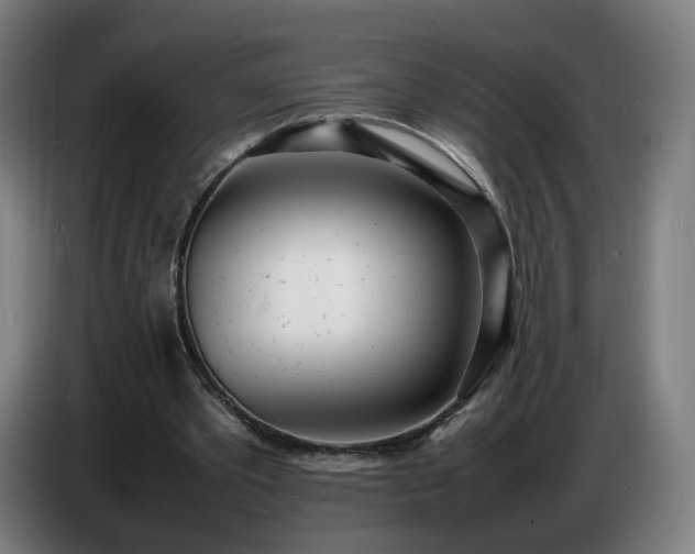 X0000086720389200704201631