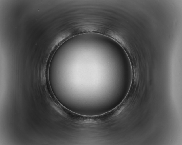 X0000086720390200704201631