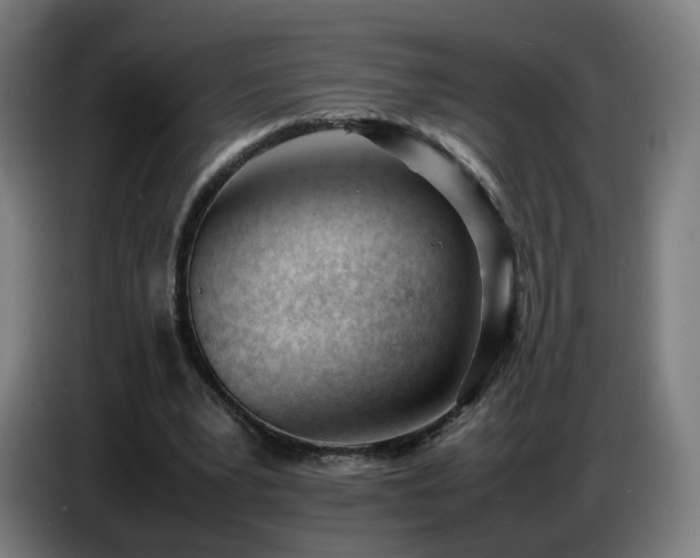 X0000086720391200704201631
