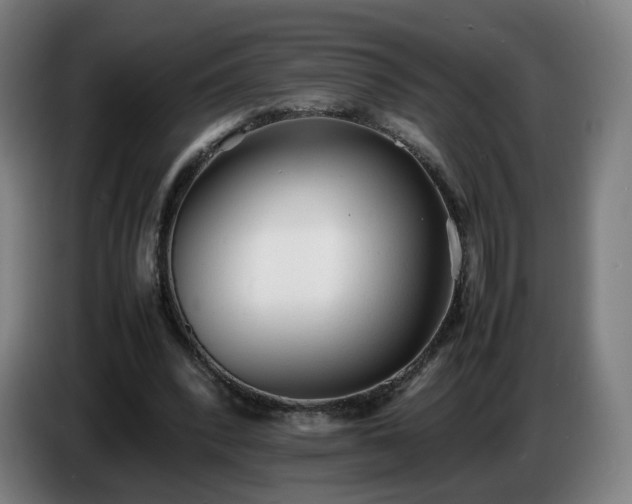 X0000086720392200704201630