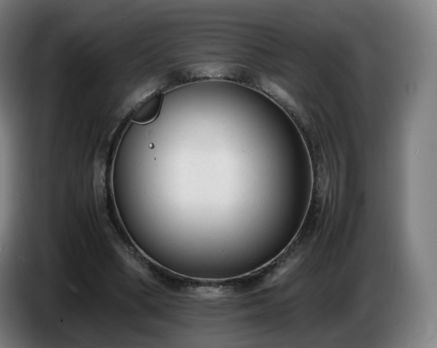X0000086720394200704201630