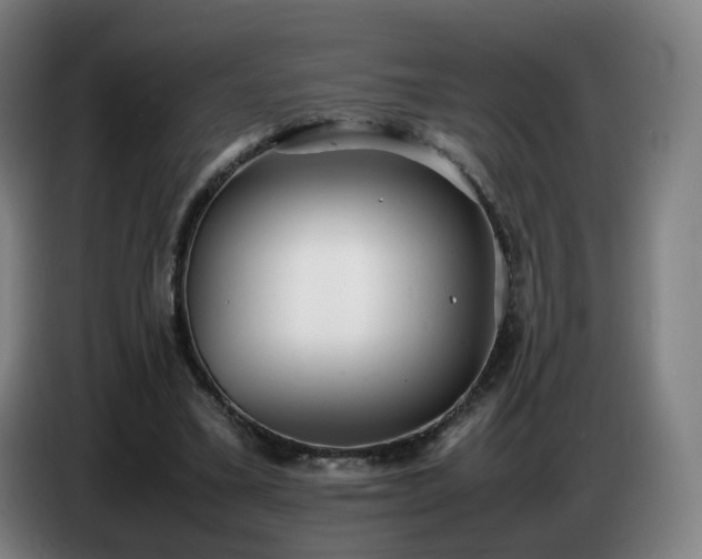 X0000086720395200704201630