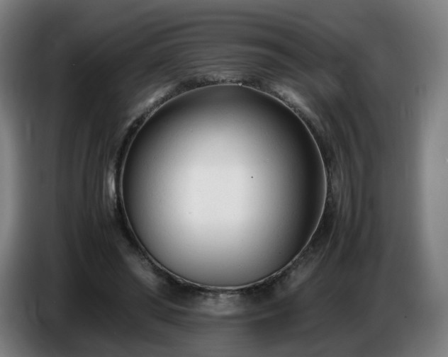 X0000086720398200704201630