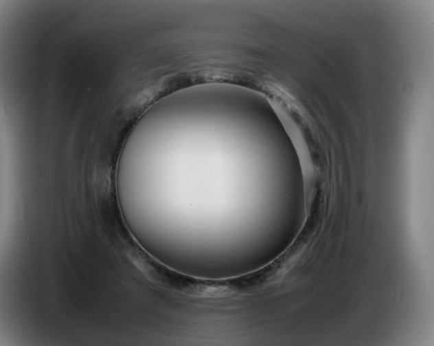 X0000086720401200704201630