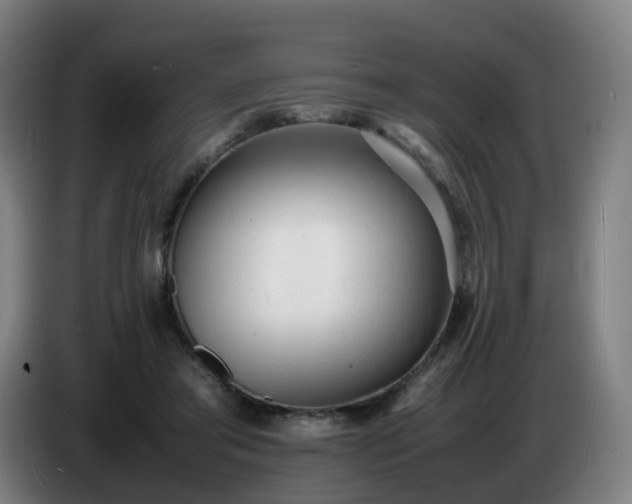 X0000086720405200704201630