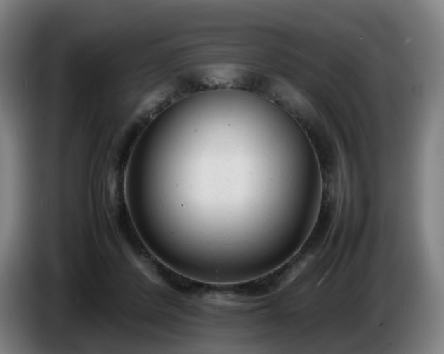 X0000086720408200704201630