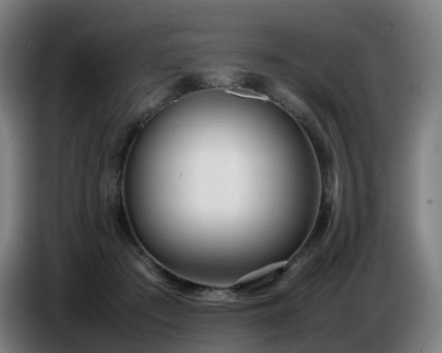 X0000086720409200704201630