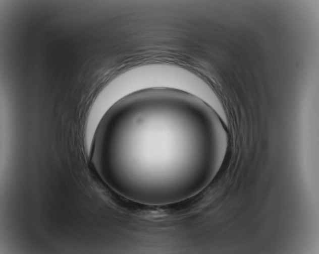 X0000086720411200704201630