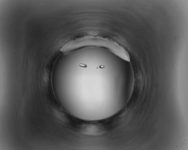 X0000086720412200704201630