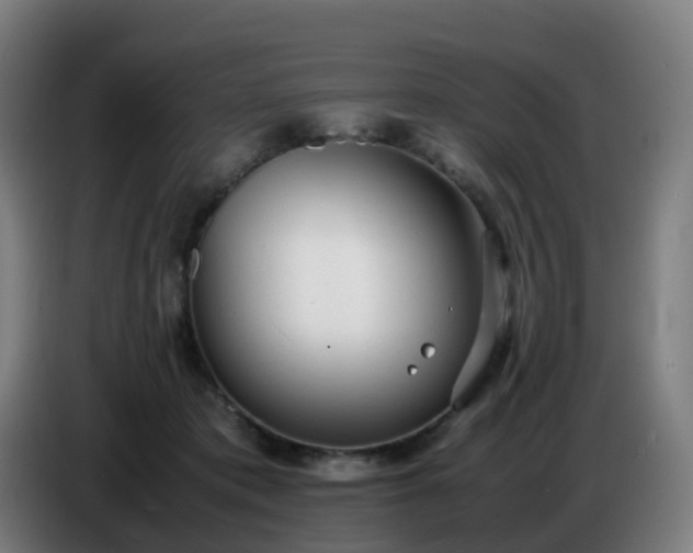 X0000086720413200704201630