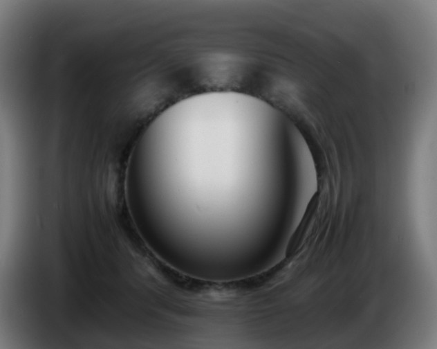 X0000086720416200704201630