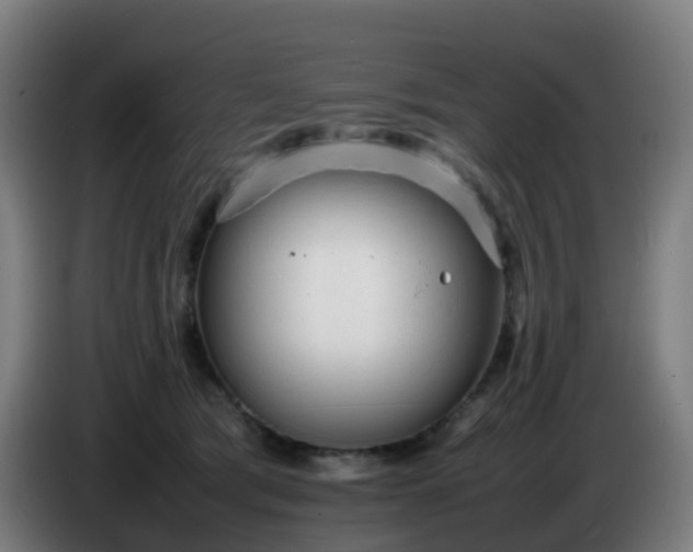 X0000086720417200704201630