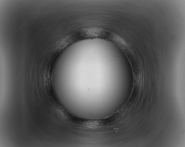 X0000086720418200704201630