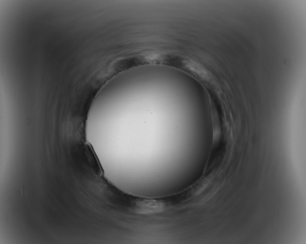 X0000086720421200704201630