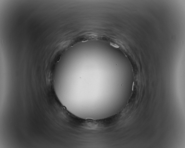 X0000086720423200704201630