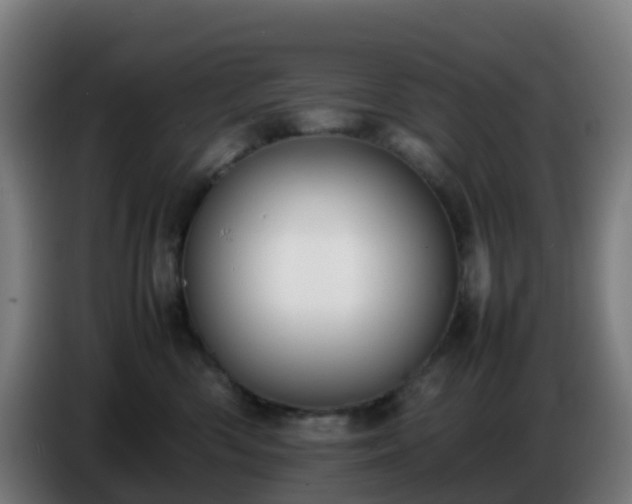 X0000086720426200704201630